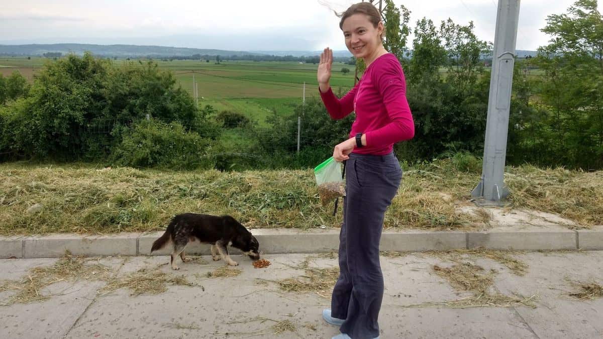 Frau Füttert Streunerhund