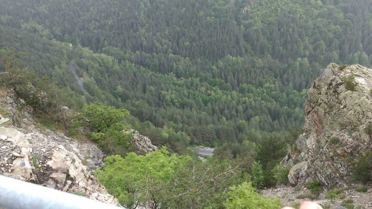 Waldpanorama Von Oben