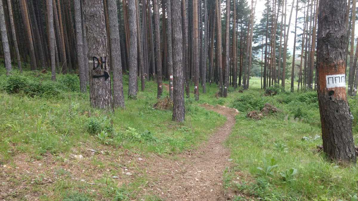 Pinienwald, Bike Trail
