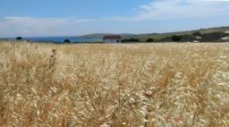 Limnos, Griechenland