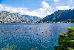 Bucht Von Kotor In Montenegro