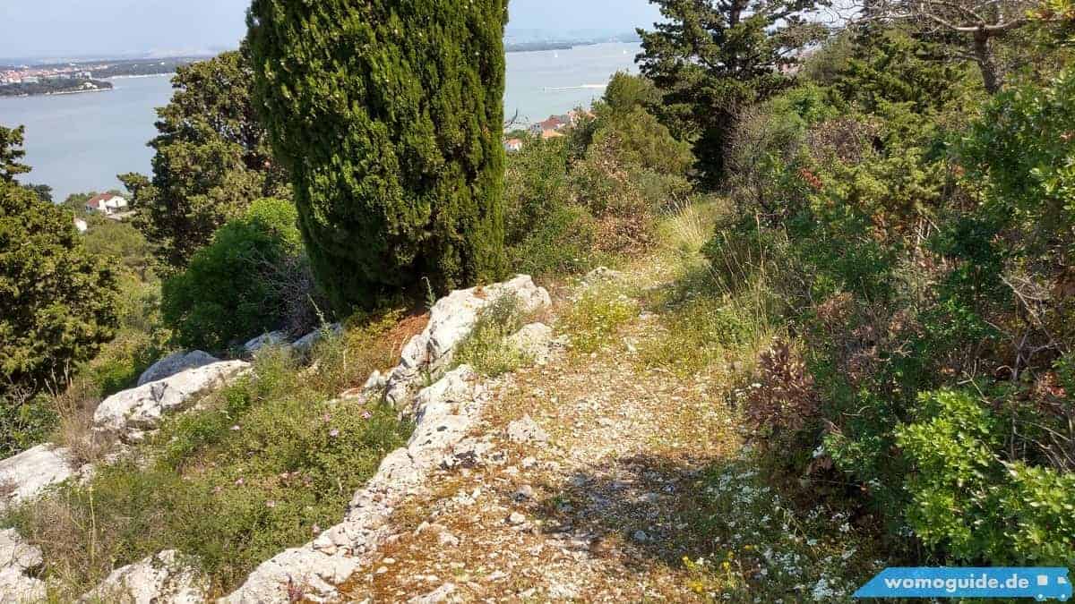 Die Wege Sind Schön Zum Befahren