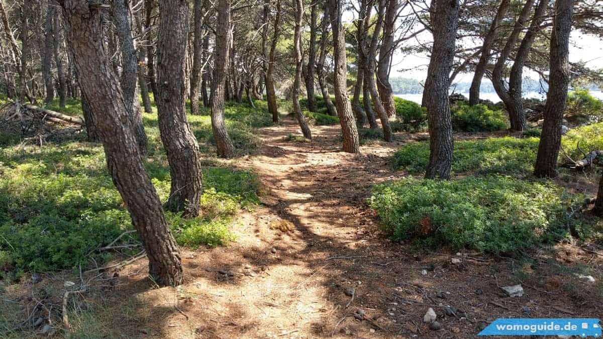 Vransko Jezero: Radtour Pakostane Wald