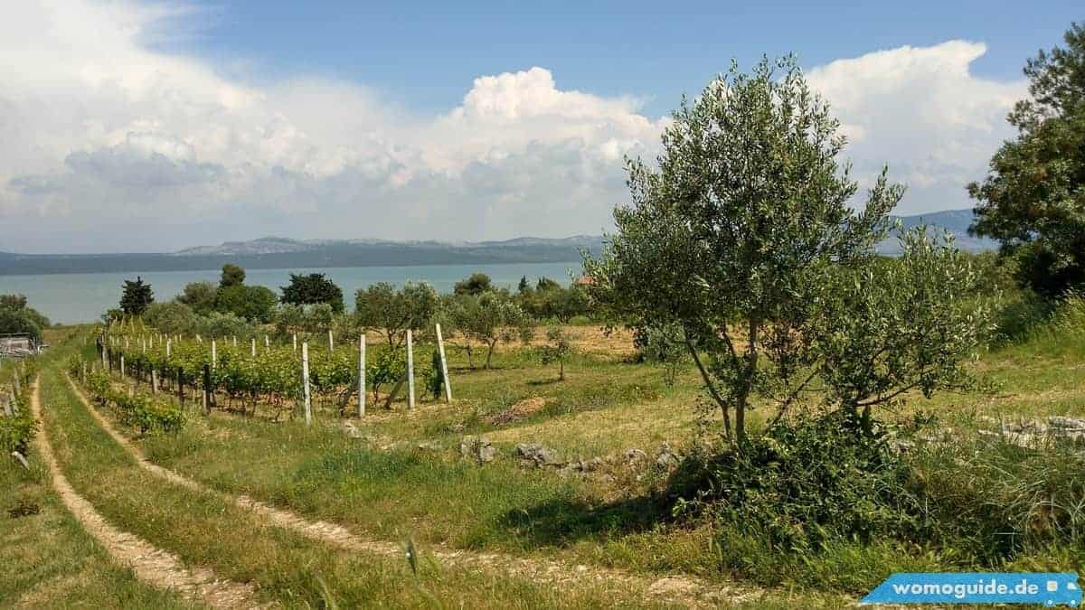 Vransko Jezero: Radtour Pakostane