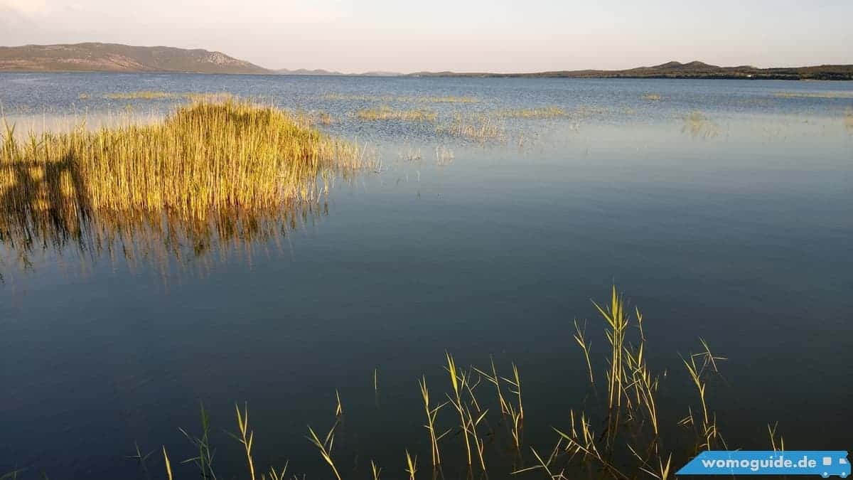 Vransko Jezero: Schilf
