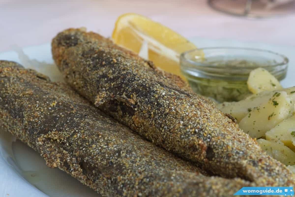 Forellen Aus Der Buna In Blagaj