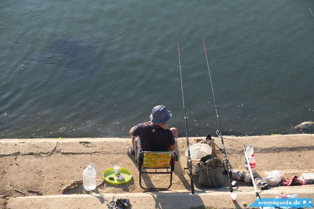 Save In Belgrad: Fischer