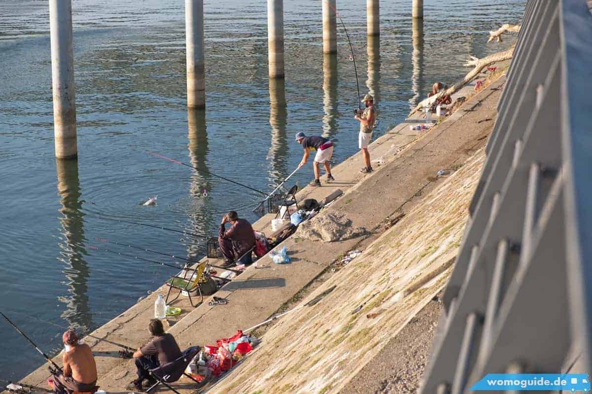 Save In Belgrad: Fischer