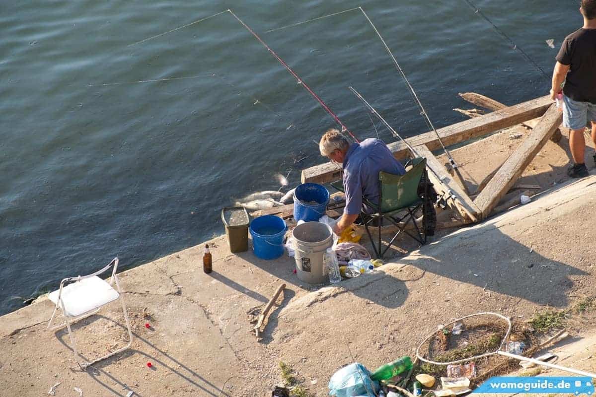 Save In Belgrad: Fischer