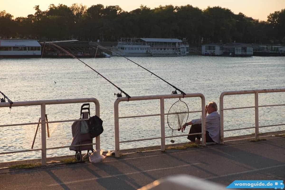 Save In Belgrad: Fischer