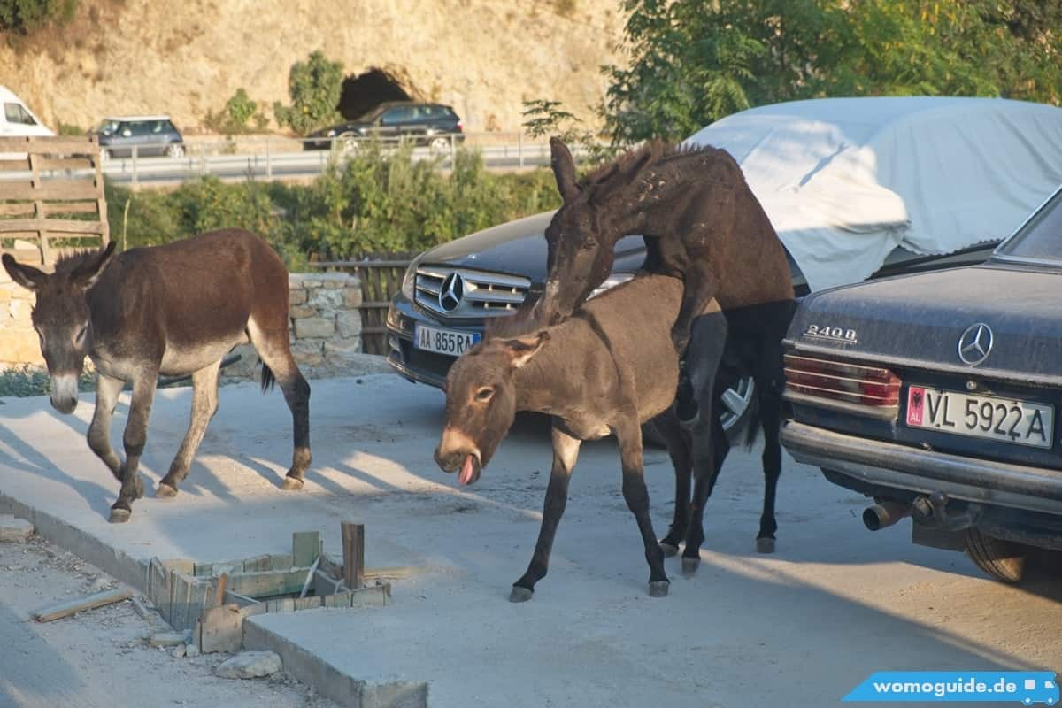 Livadhi Beach (Himarë): Unfug Am Parkplatz 