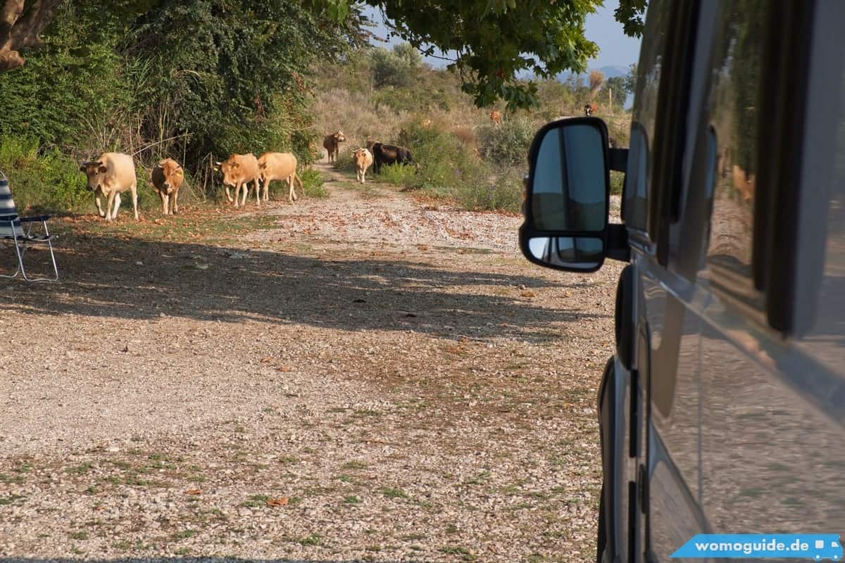 Stellplatz Bei Sagiada, Greichenland