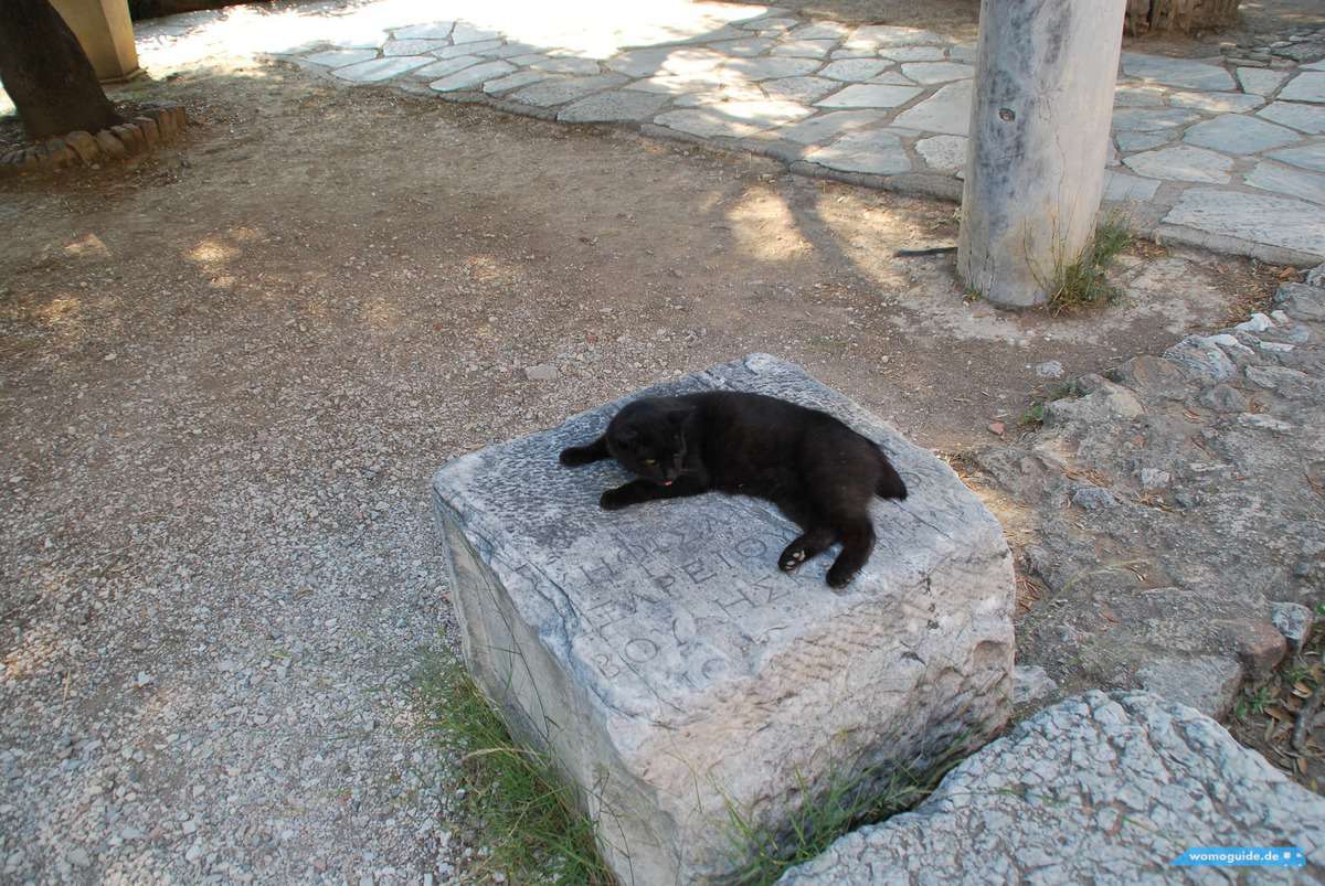 In Athen Mit Dem Wohnmobil: In Der Stadt, Agora Und Hephaistos, Katze