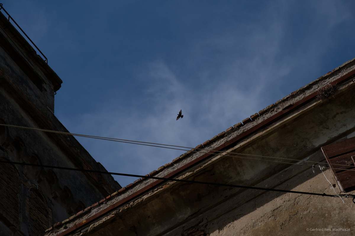 Verlassene Häuser In Savudrija, Kroatien