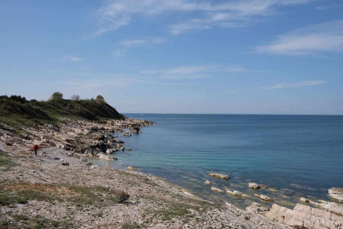Naturlandschaft Rund Um Savudrija, Kroatien