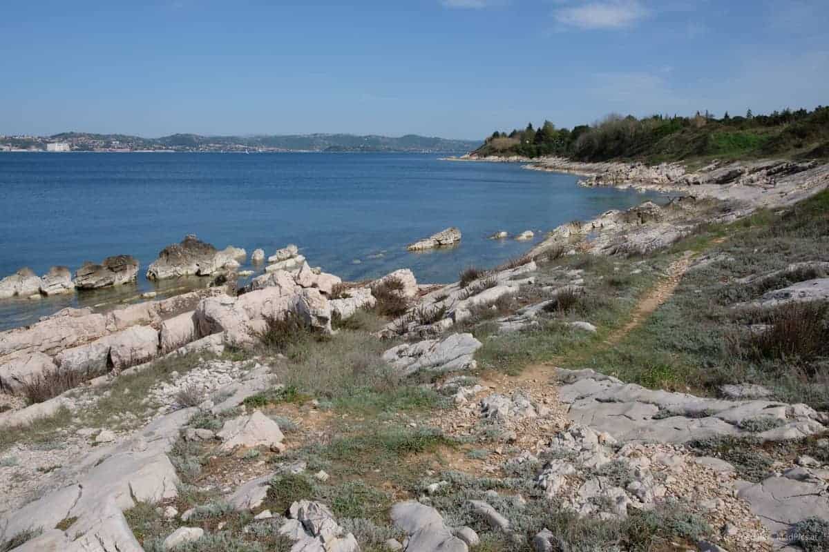 Naturlandschaft Rund Um Savudrija, Kroatien