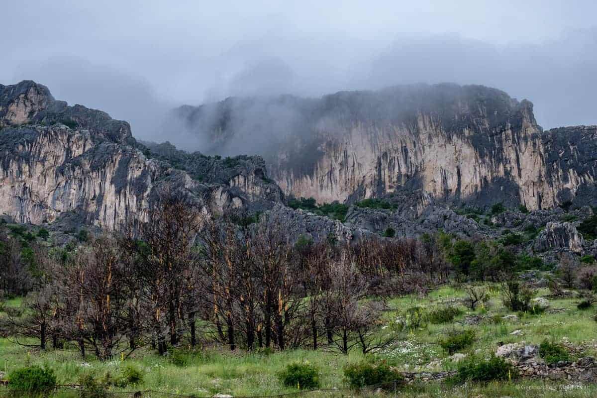 Spuren Von Waldbränden In Kroatien Bei Makarska