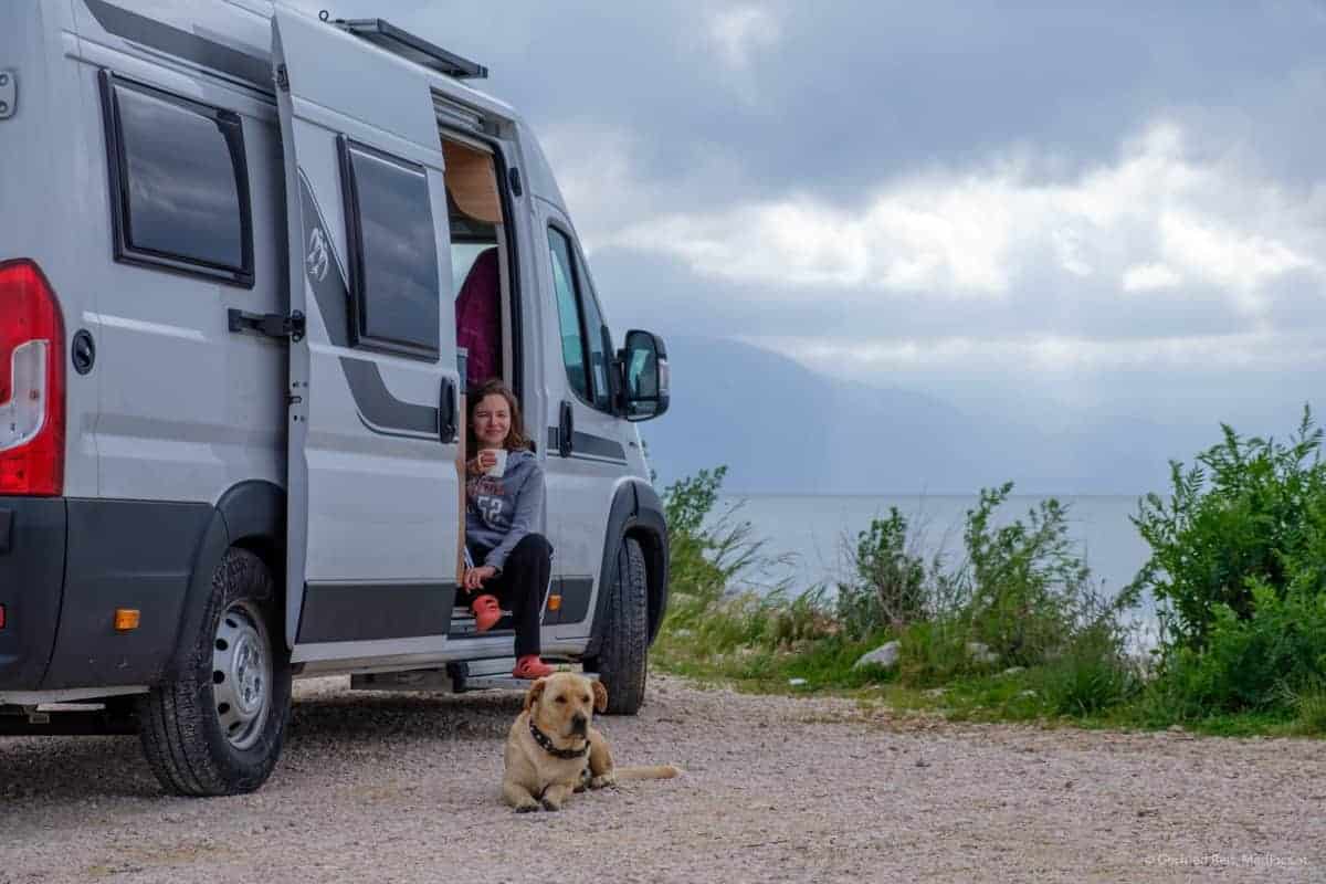 Hund Bewacht Wohnmobil