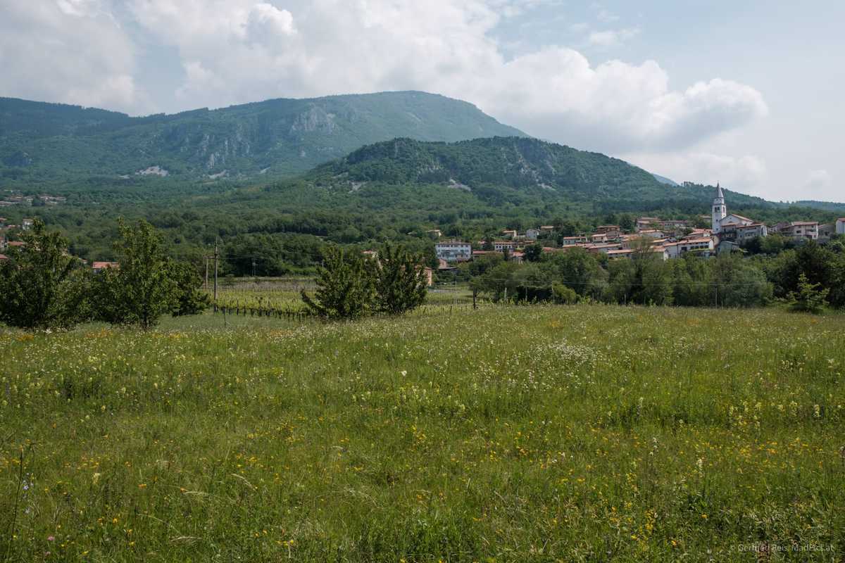 Vipava-Tal