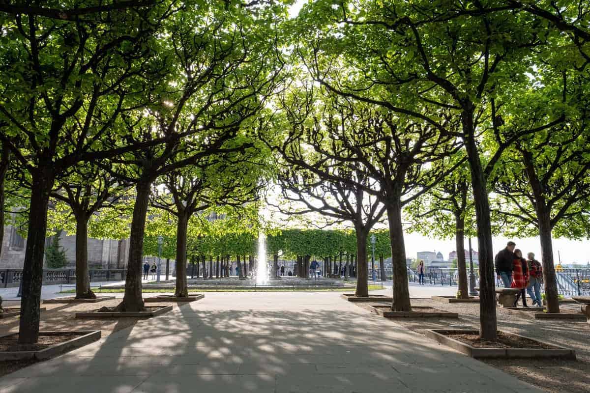 Brühlsche Terrasse Dresden