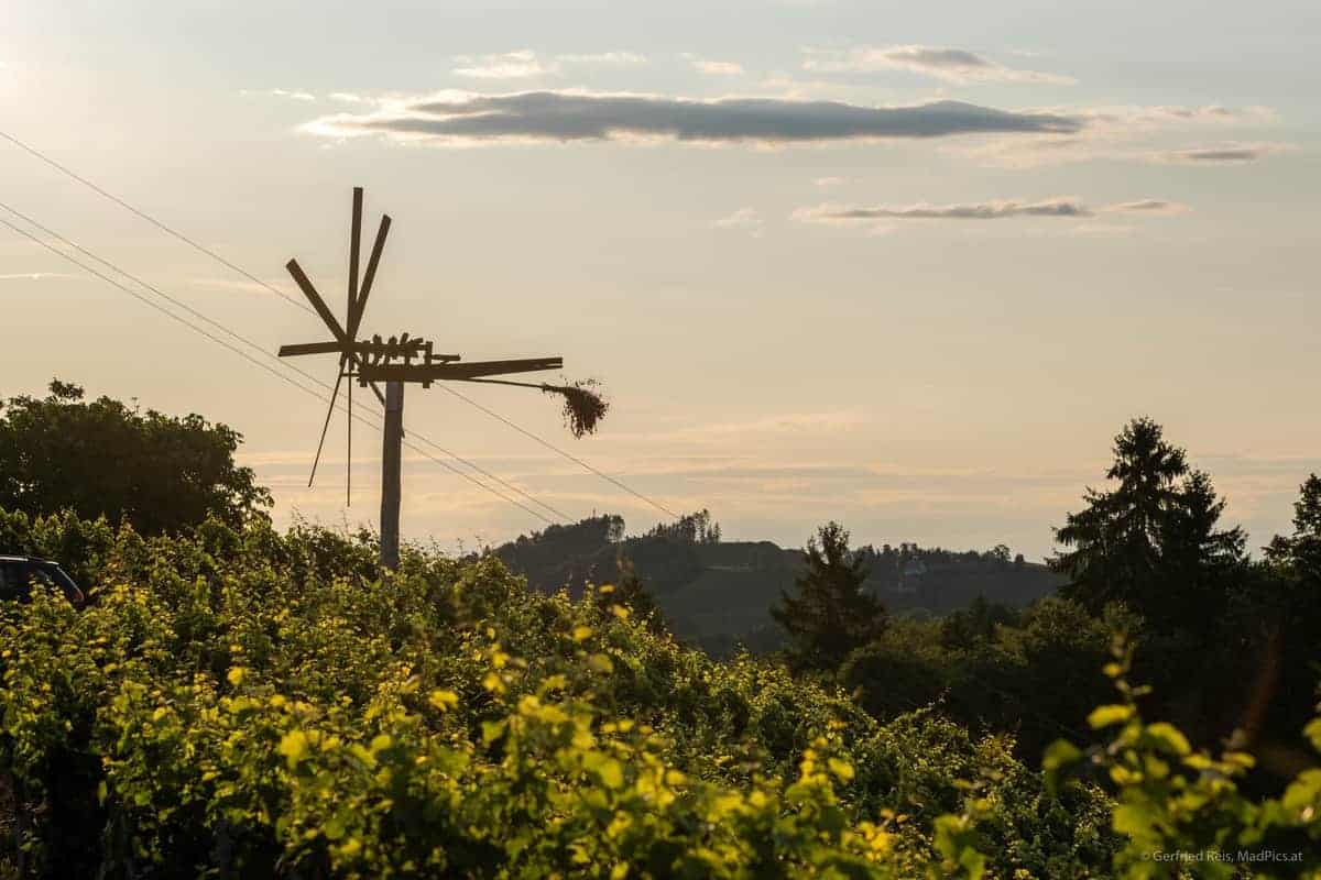 Südsteirische Weingegend