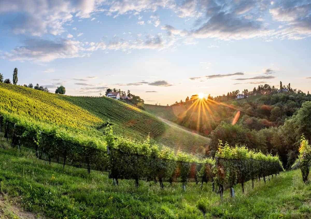 Südsteirische Weingegend