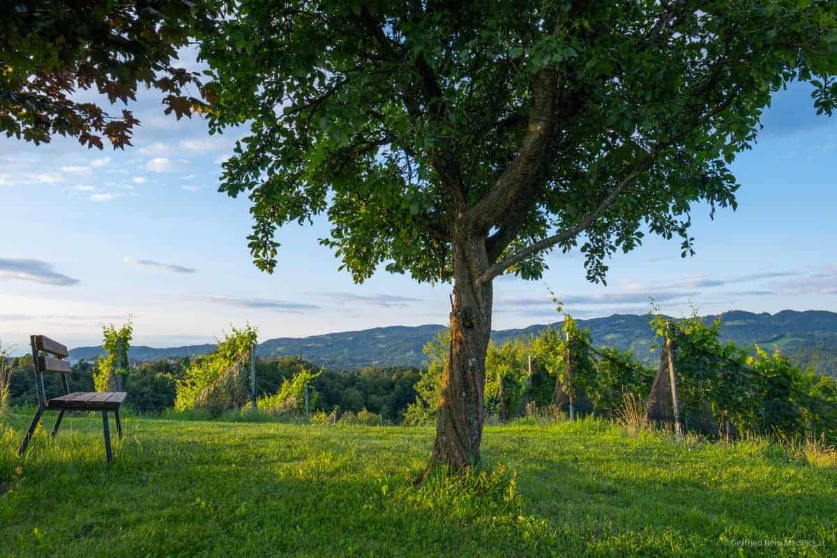 Südsteirische Weingegend