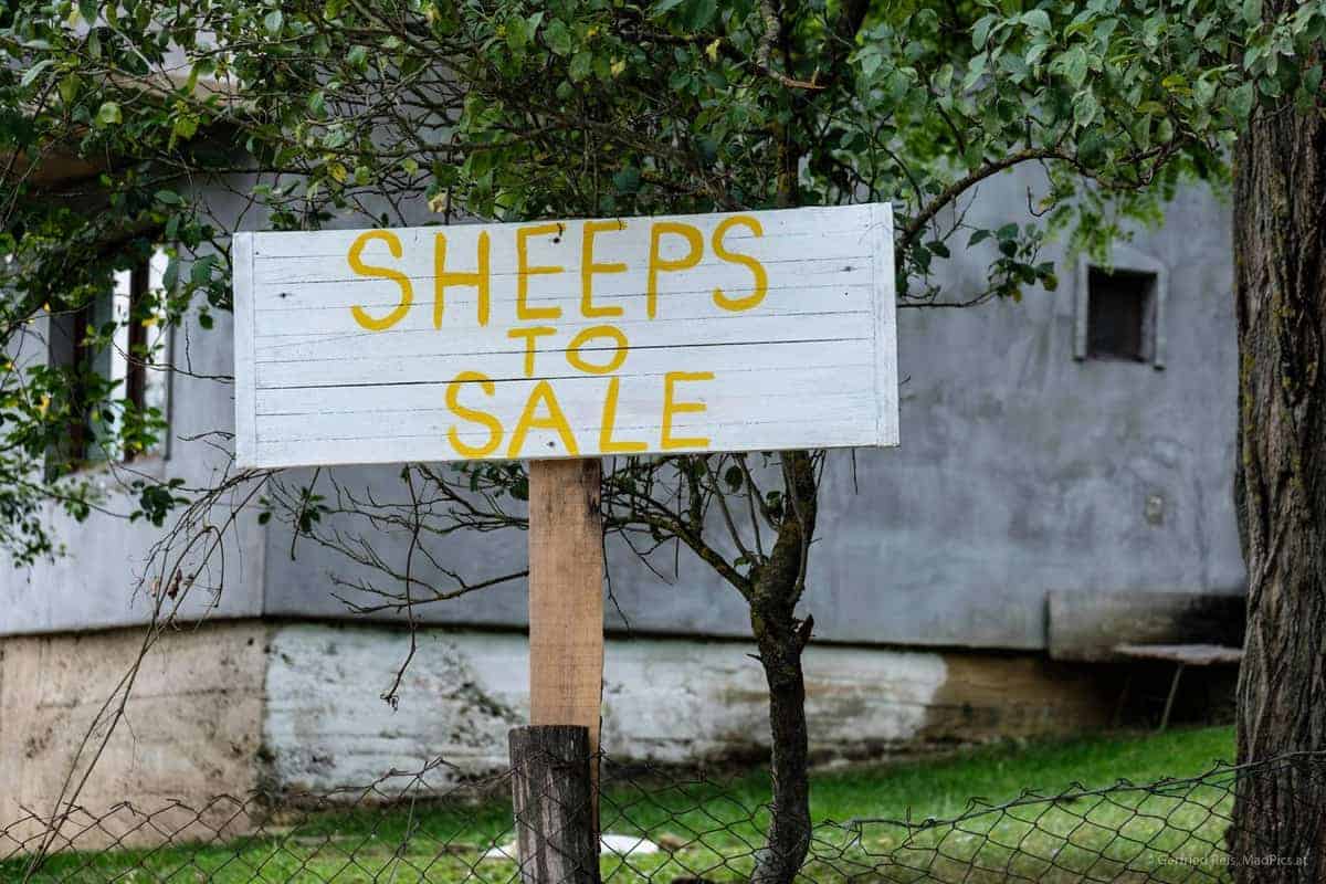 Štrbački Buk: &Quot;Schafe Zum Verkaufen&Quot; Schild