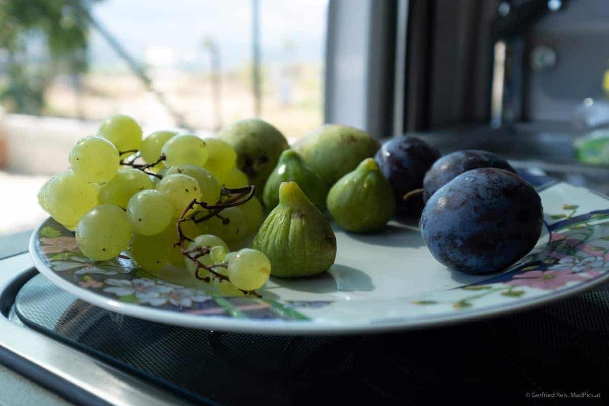 Obstteller Am Riverside Camp In Berat