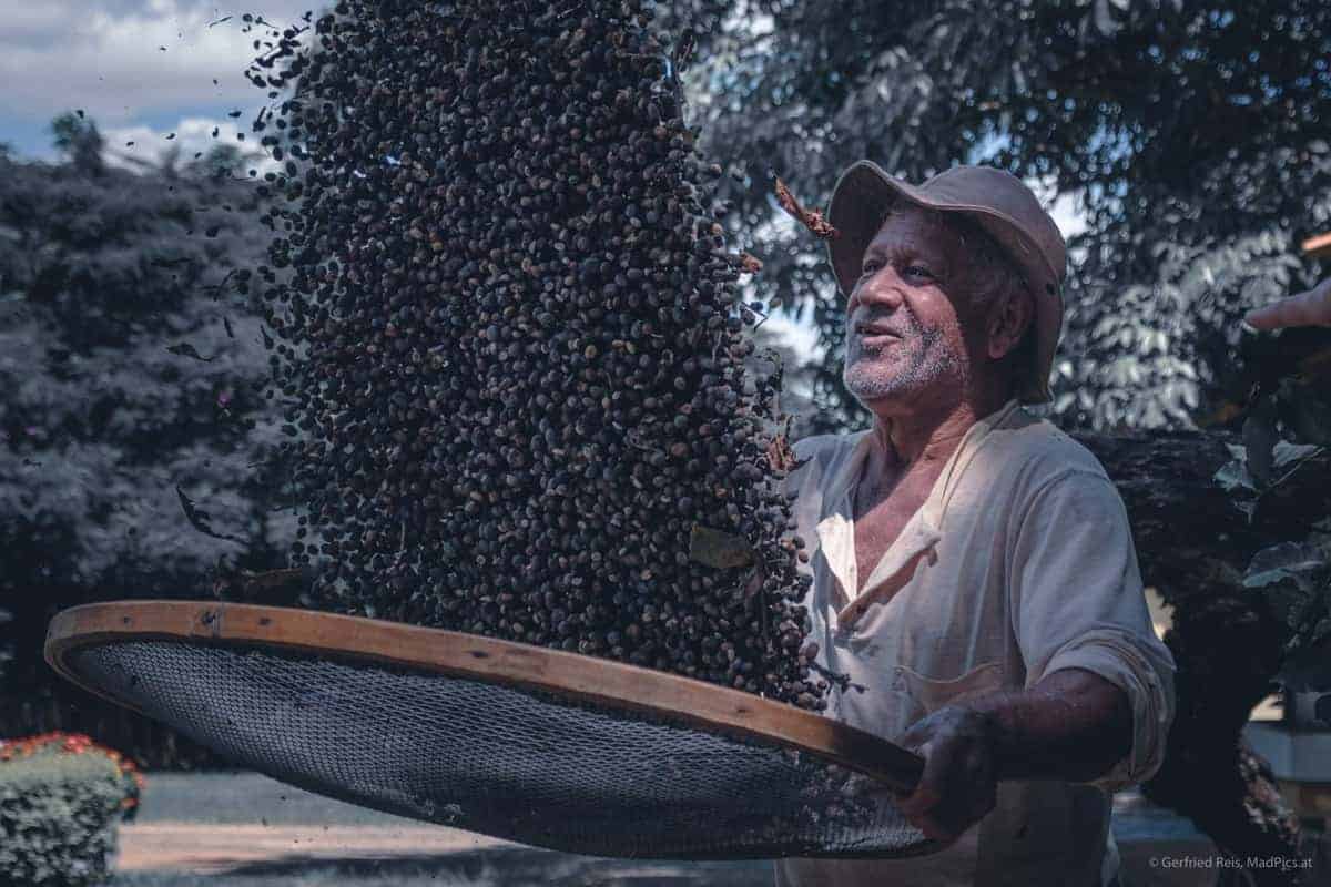 Kaffee-Farmer In Brasilien