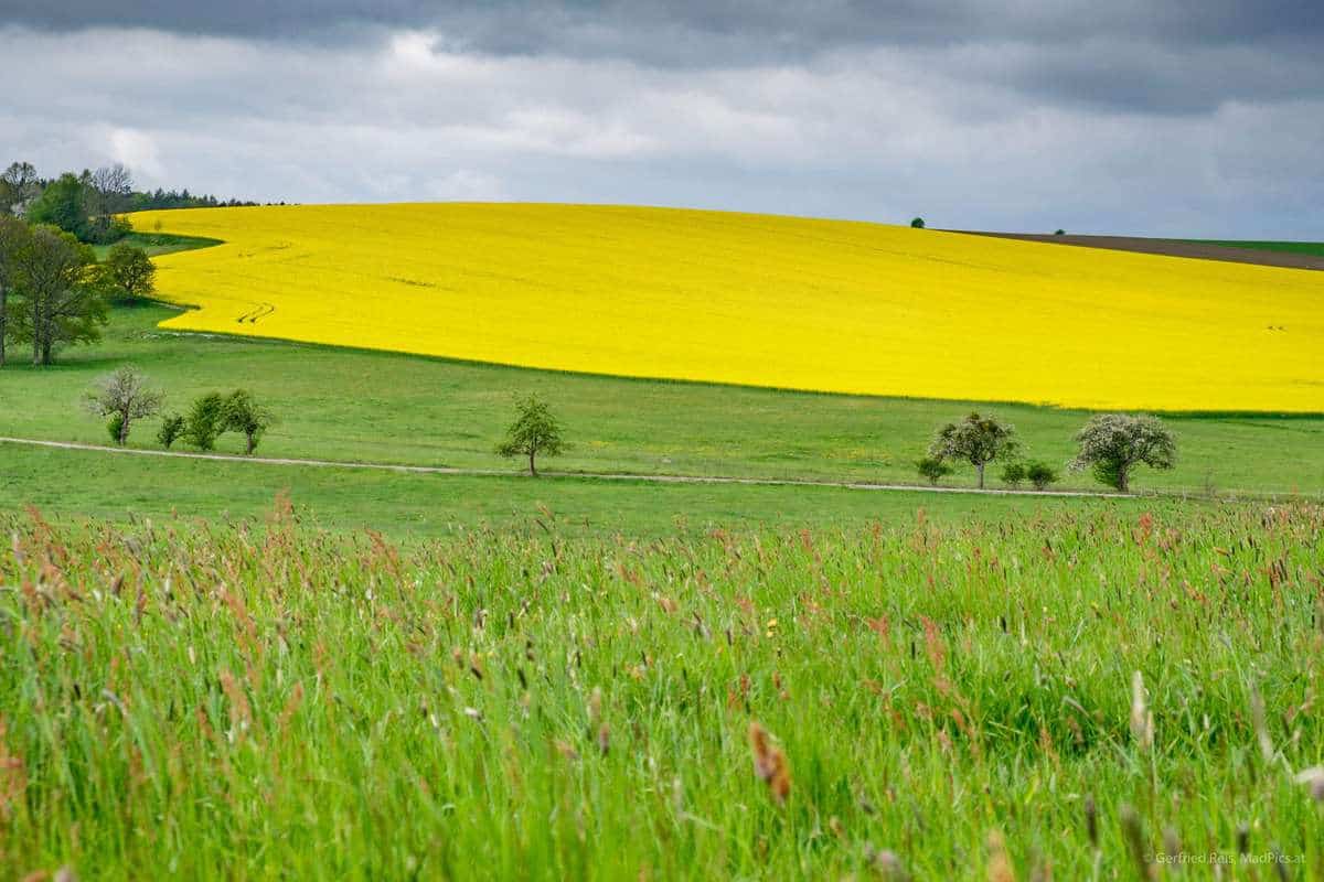 Landschaft In Der Sächsischen Schweiz