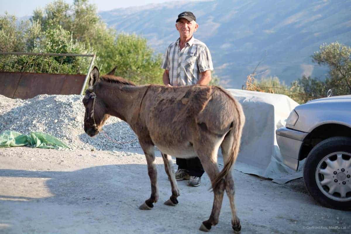 Mann Mit Esel In Albanien