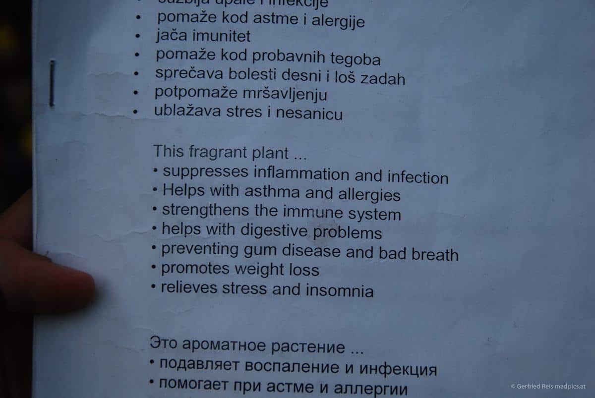 Kräutertee Bringt Viele Vorteile