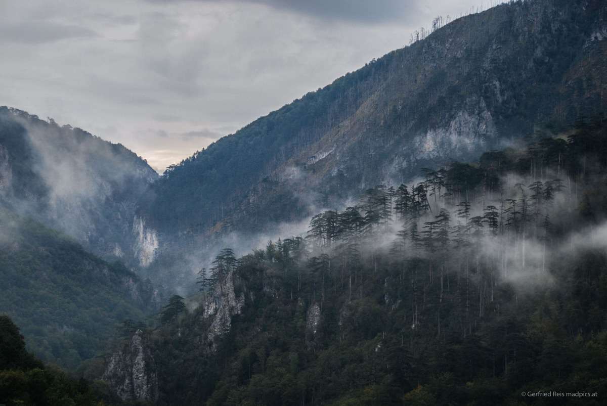 Düstere Stimmung In Der Tara Schlucht