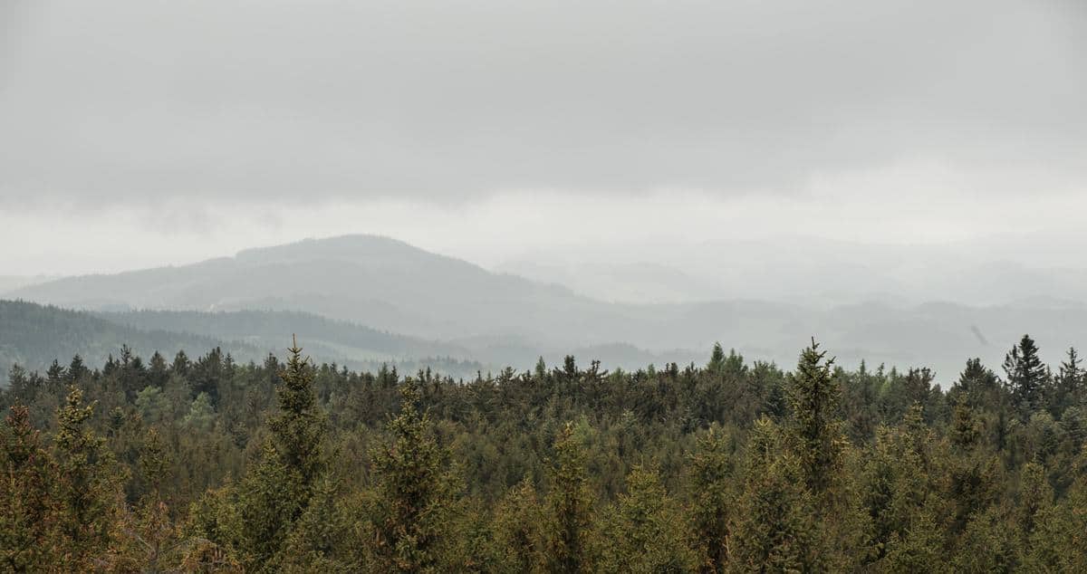 Blick In Richtung Wiener Alpen Vom Hutwisch