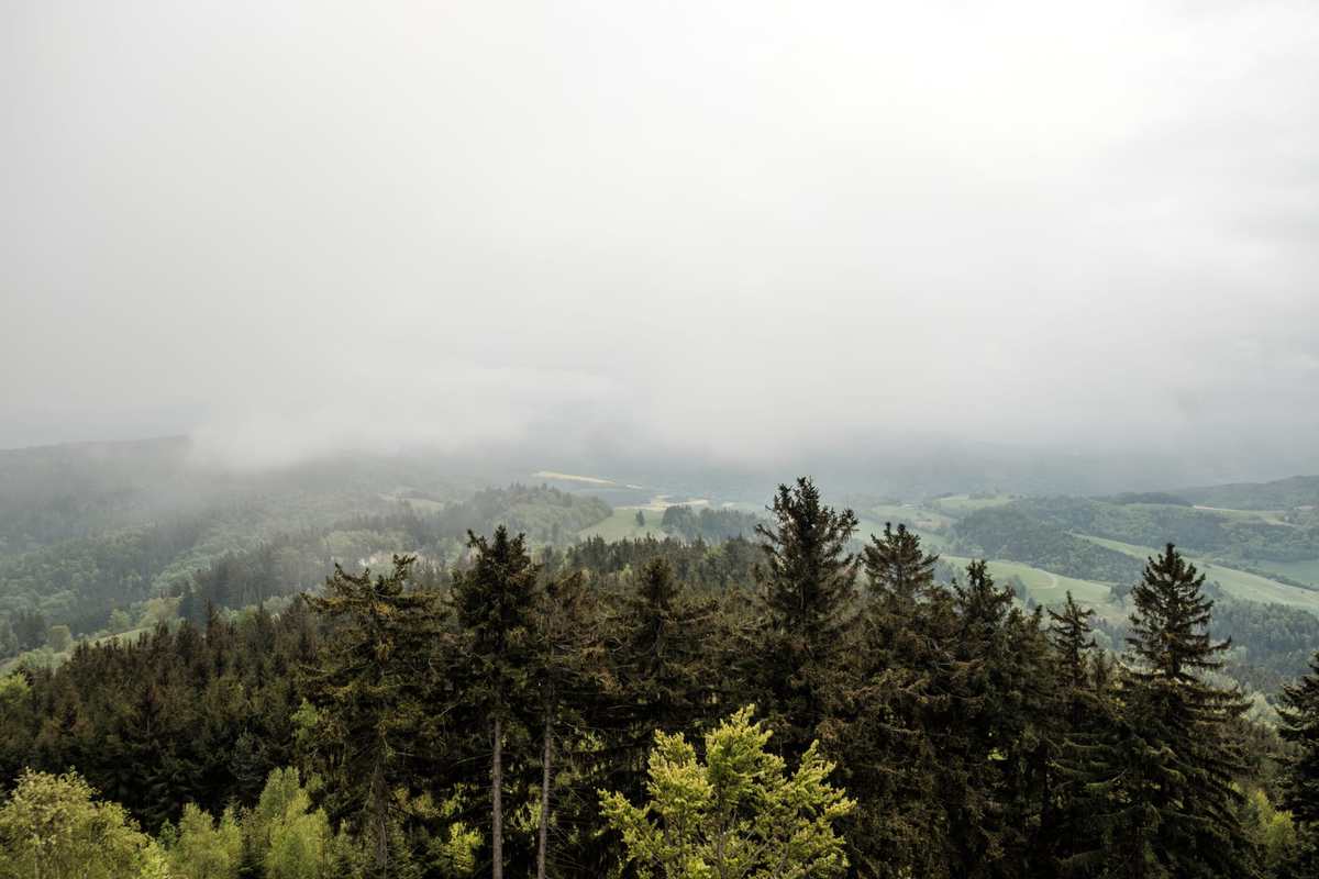 Wegen Nebel Kein Ausblick Mehr Über Die Bucklige Welt