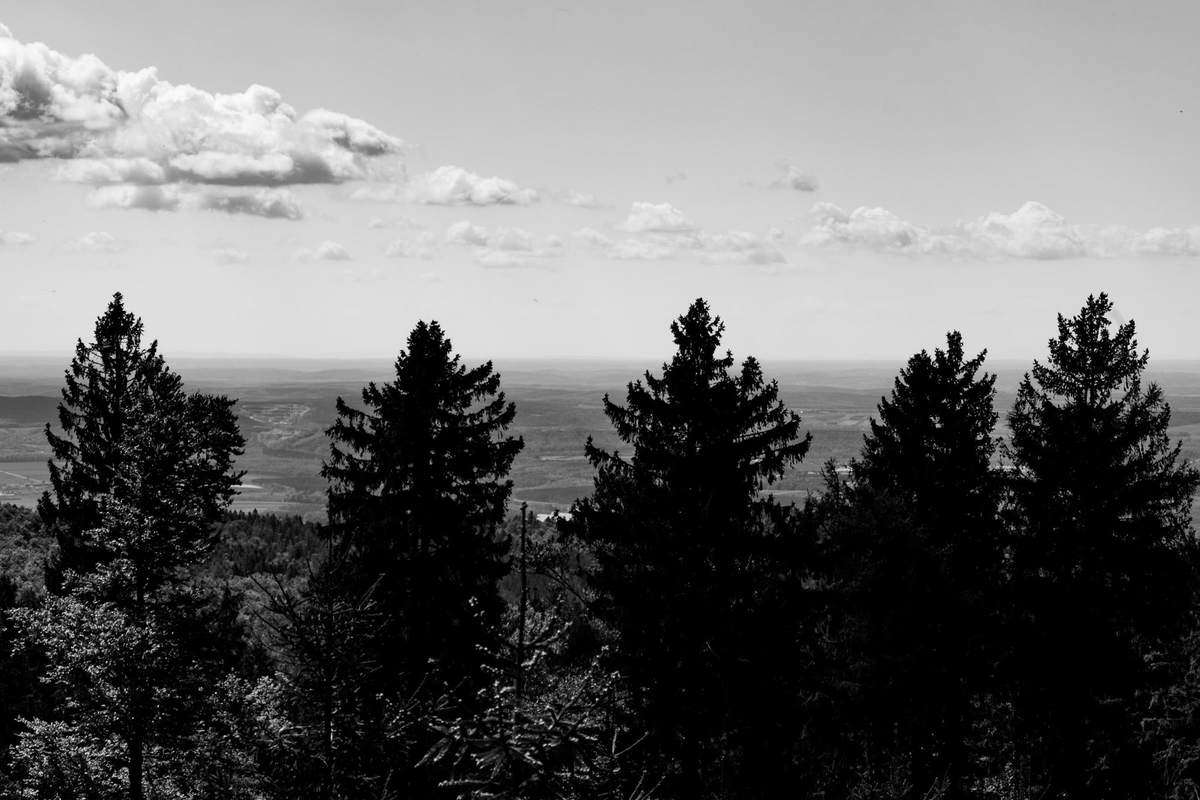Blick Vom Günser Gebirge (Kleiner Hirschenstein) Nach Süden