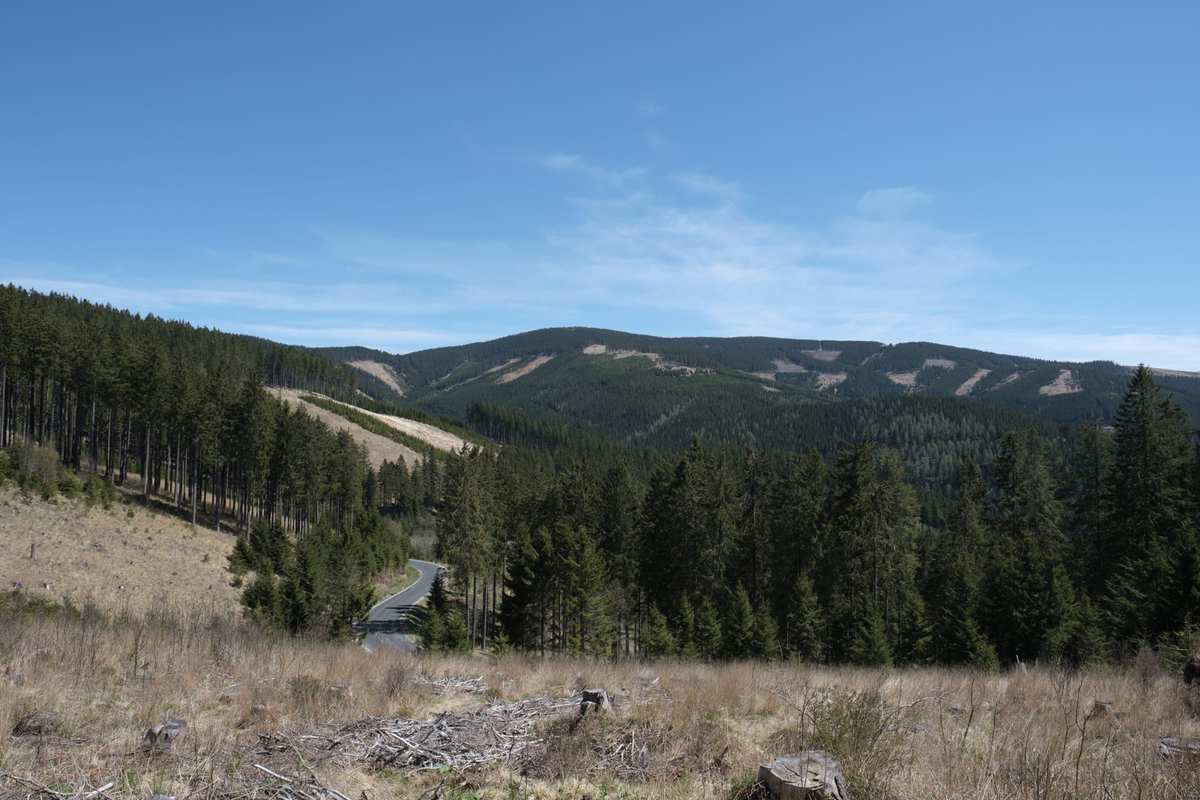 Der Hochwechsel In Der Ferne