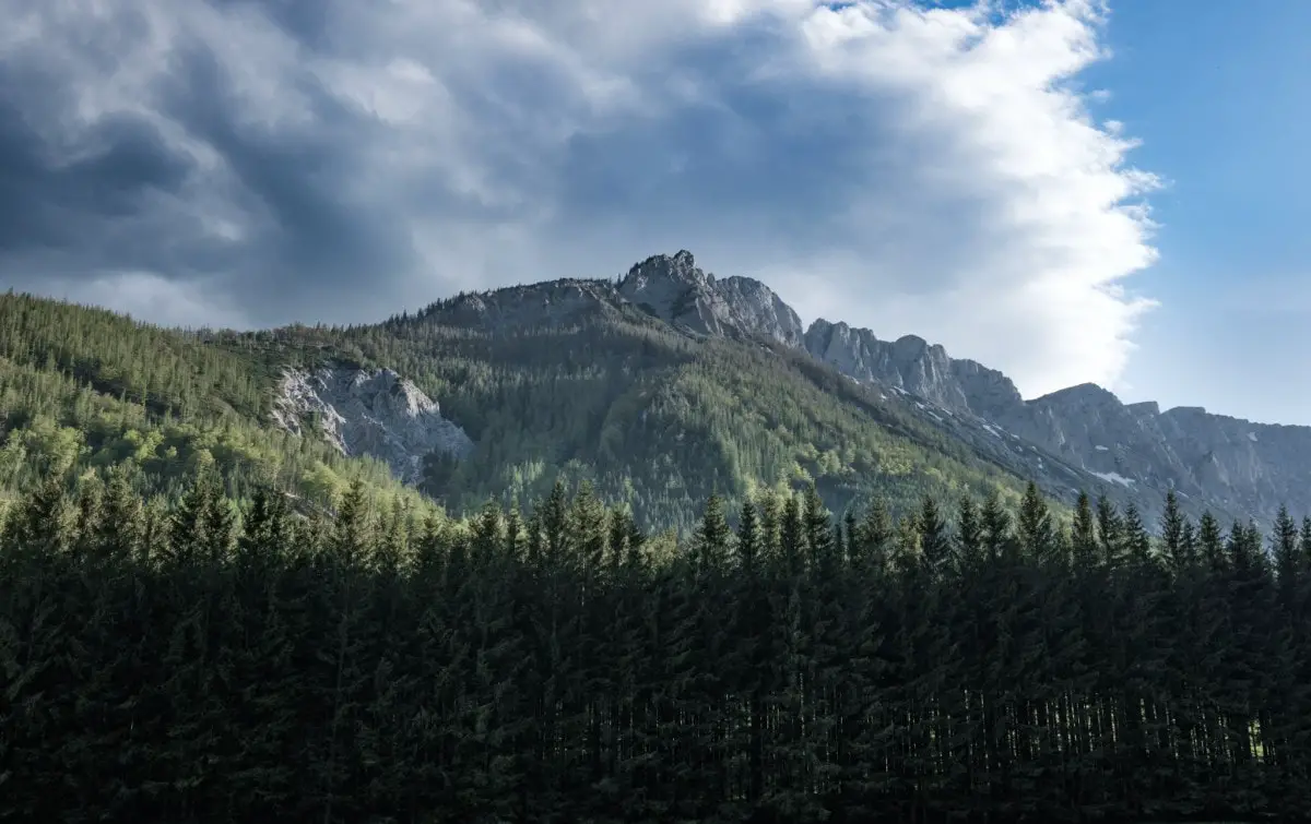 Gipfel des Hochschwab-Massivs mit Wald davor und Wolken dahinter