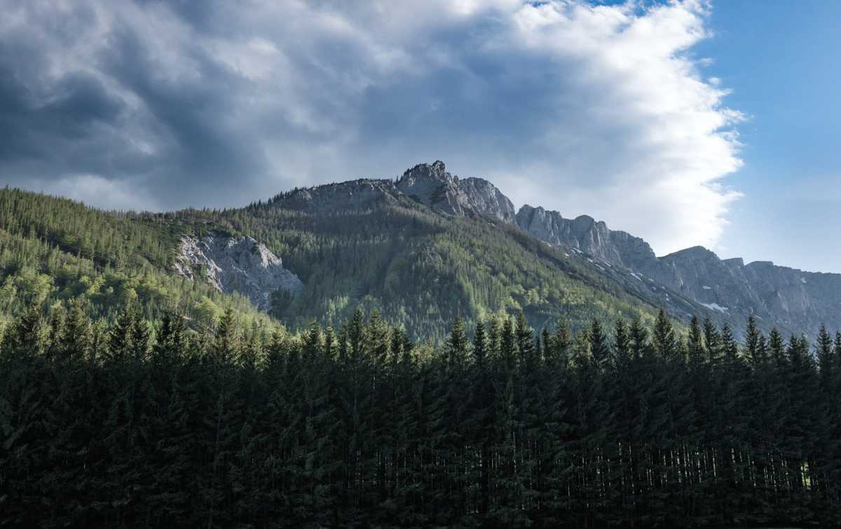 Gipfel Des Hochschwab-Massivs Mit Wald Davor Und Wolken Dahinter