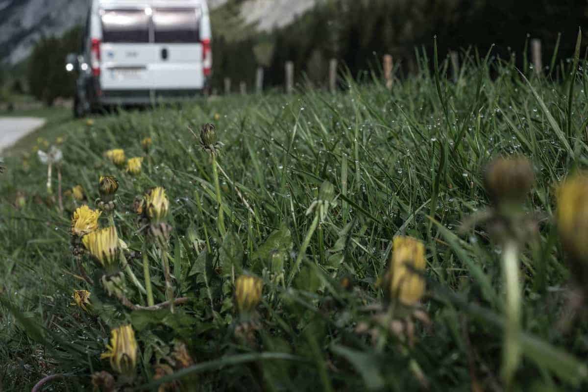 Morgentau Im Gras Mit Camper Im Hintergrund