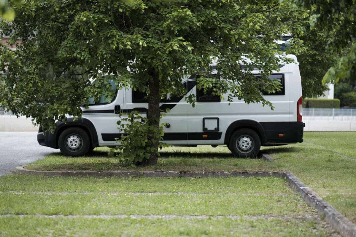 Wohnmobil Hinter Einem Baum