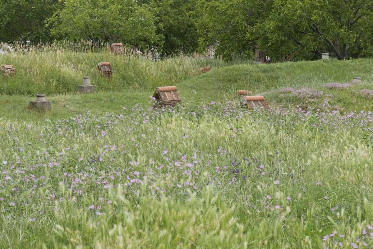 Dach Einer Kellergasse