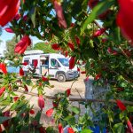 Wohnmobil Hinter Blumen