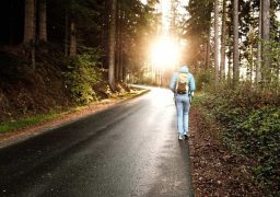 Frau Geht In Der Abendsonne Im Wald Spazieren