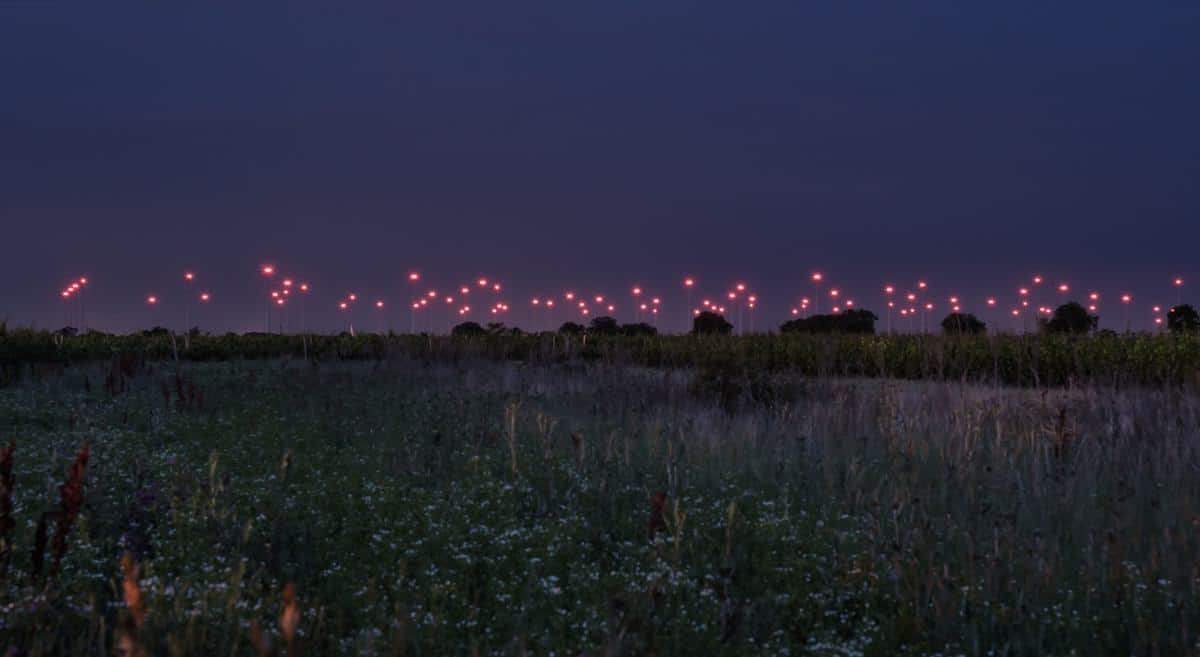 Windräder Am Neusiedler See Bei Nacht