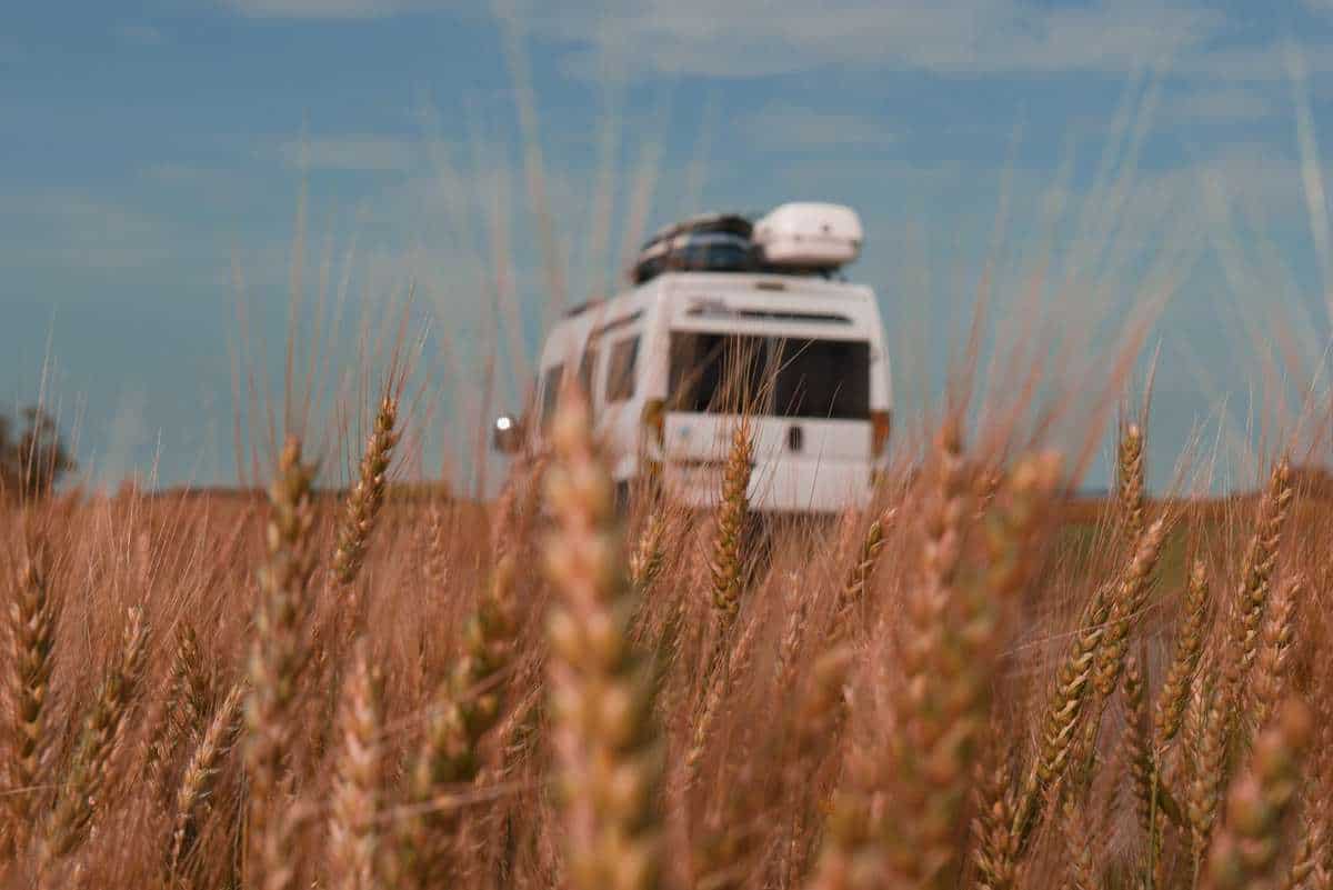Camper Hinter Kornfeld Im Seewinkel
