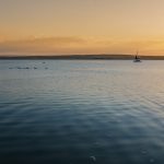 Neusiedler See Im Abendlicht