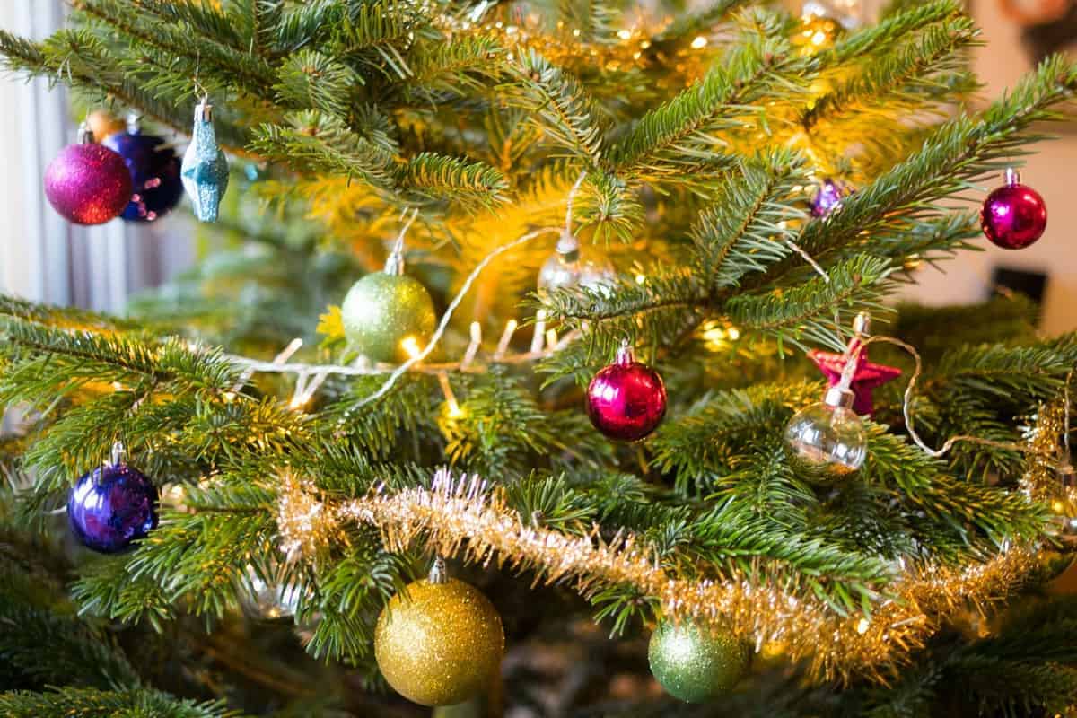 Geschenke Für Camper: Je Nach Anlass Unterschiedlich