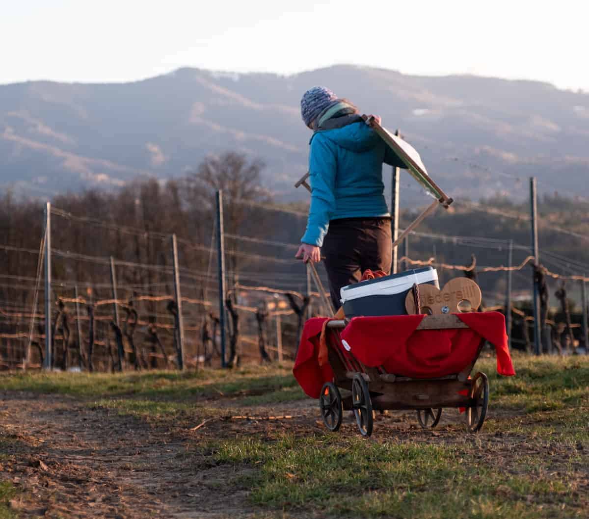Ein Weingarten-Picknick Gehört Zu Unseren Schönsten Schauaufsland-Erlebnissen